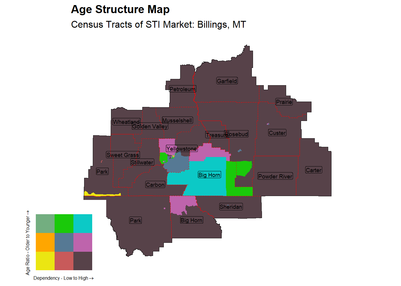 Age Structure Class by Census Tract