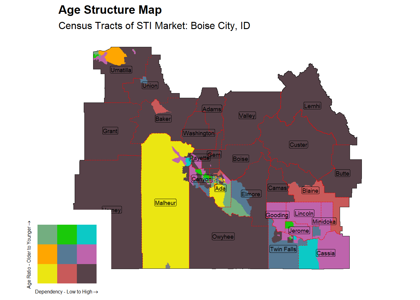 Age Structure Class by Census Tract