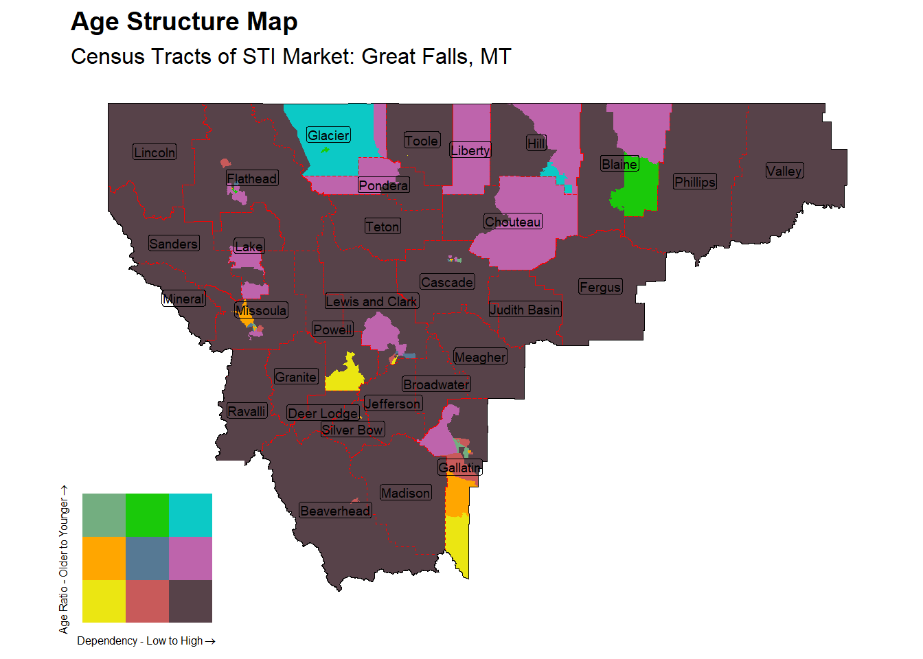 Age Structure Class by Census Tract
