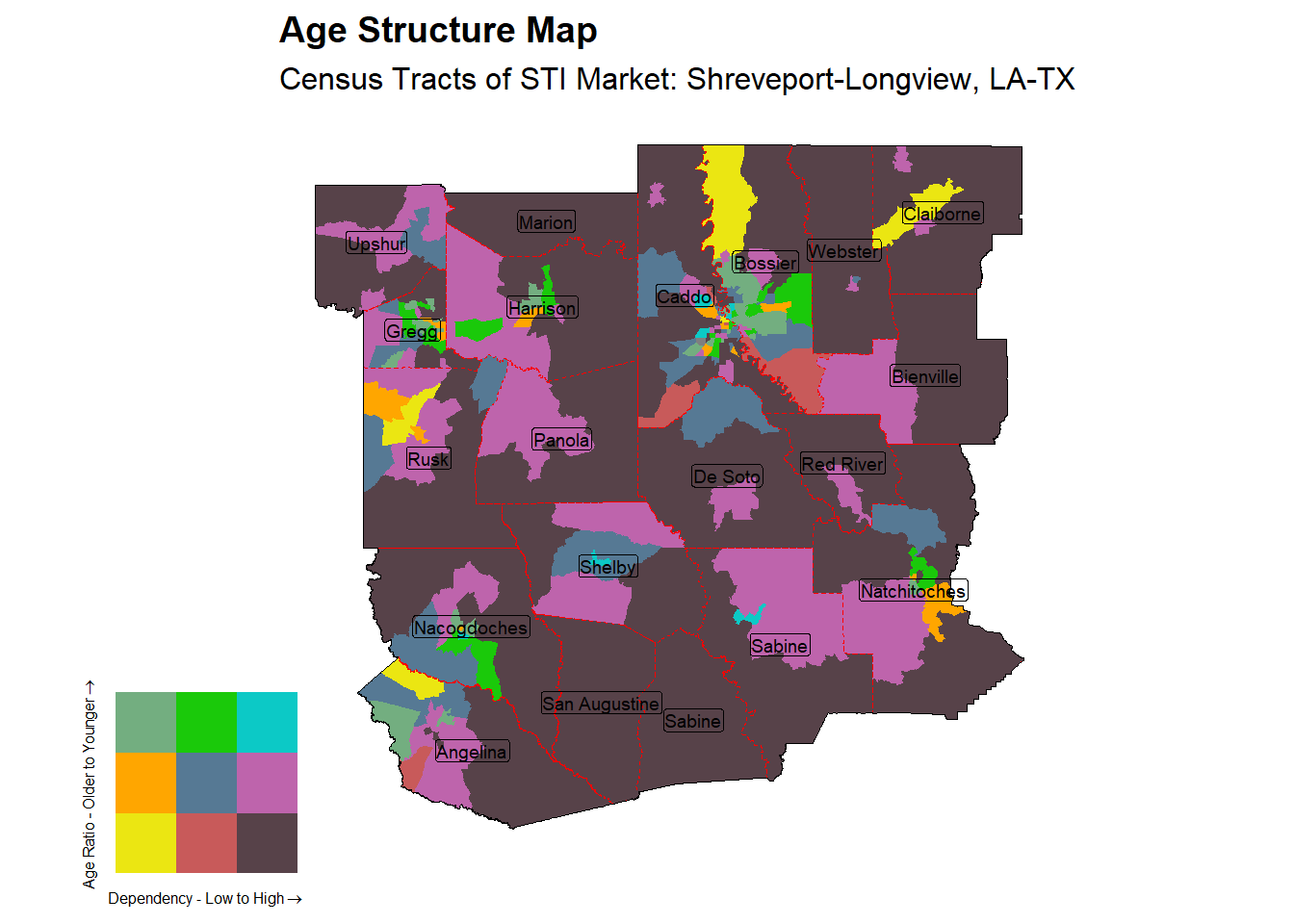 Age Structure Class by Census Tract