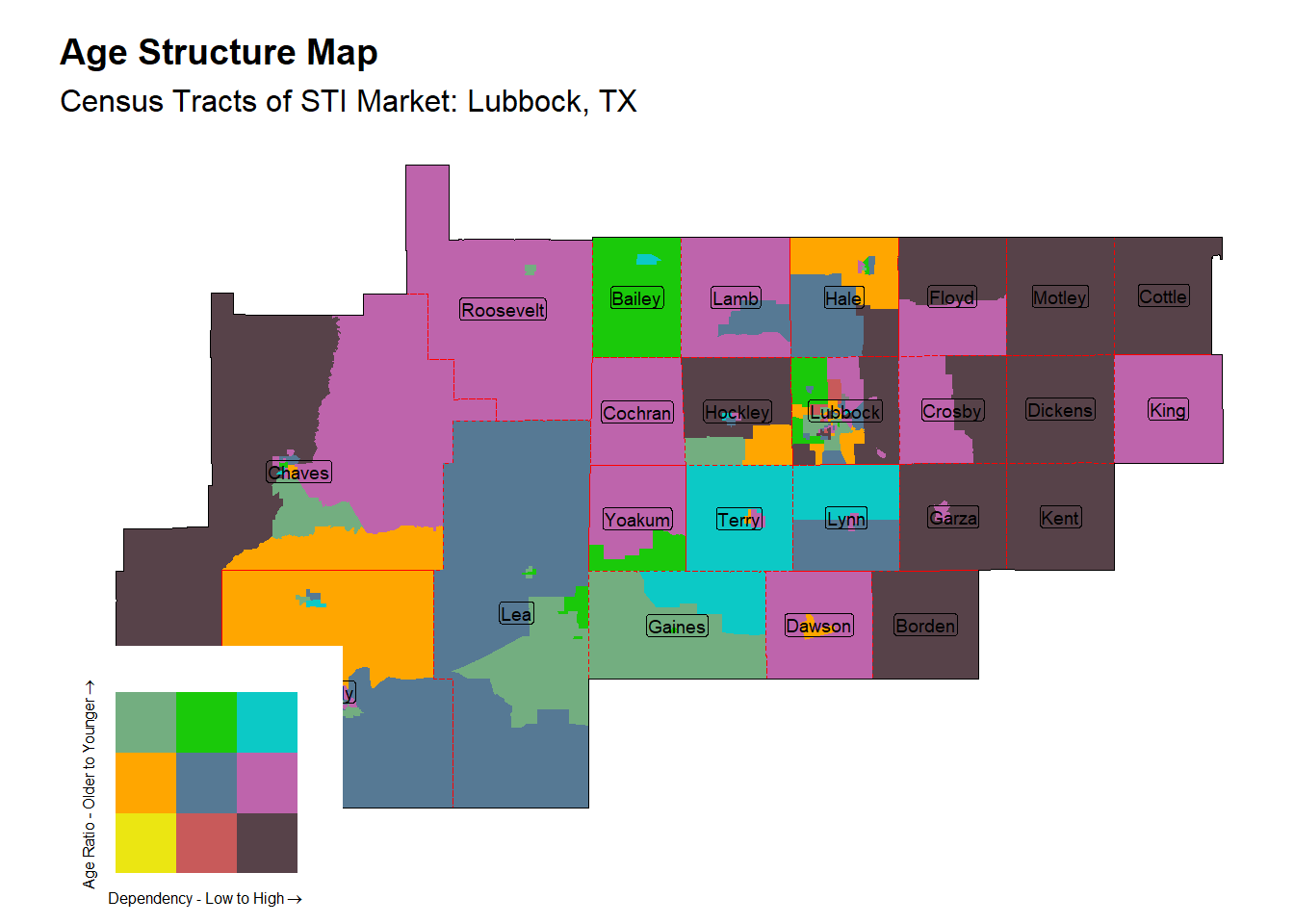Age Structure Class by Census Tract