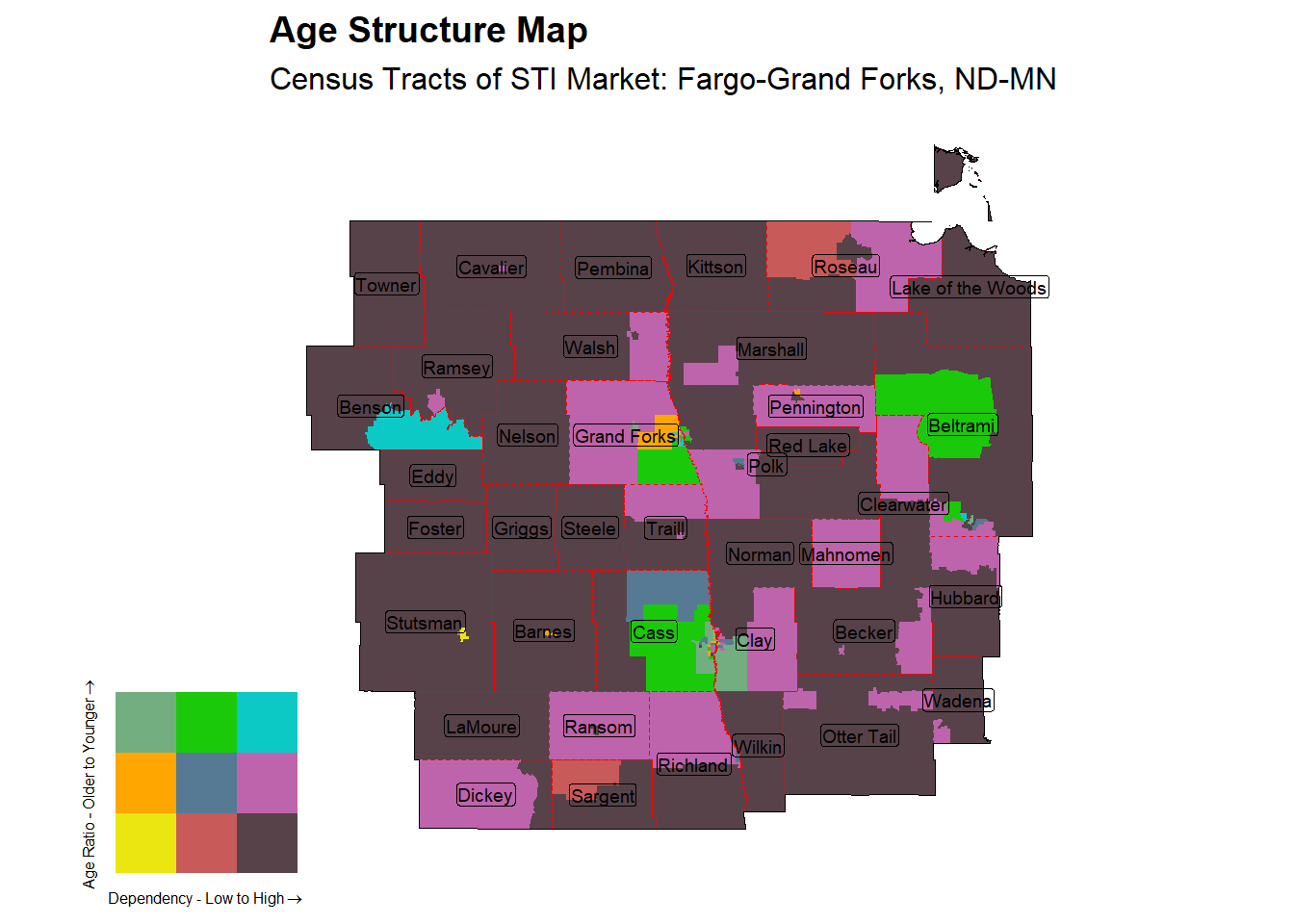 Age Structure Class by Census Tract