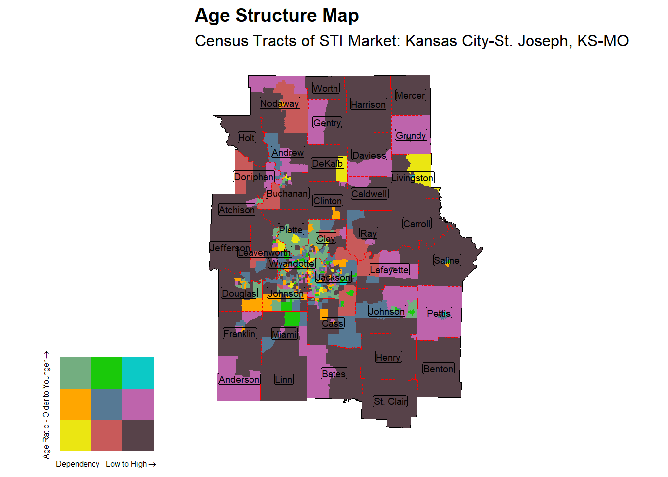 Age Structure Class by Census Tract