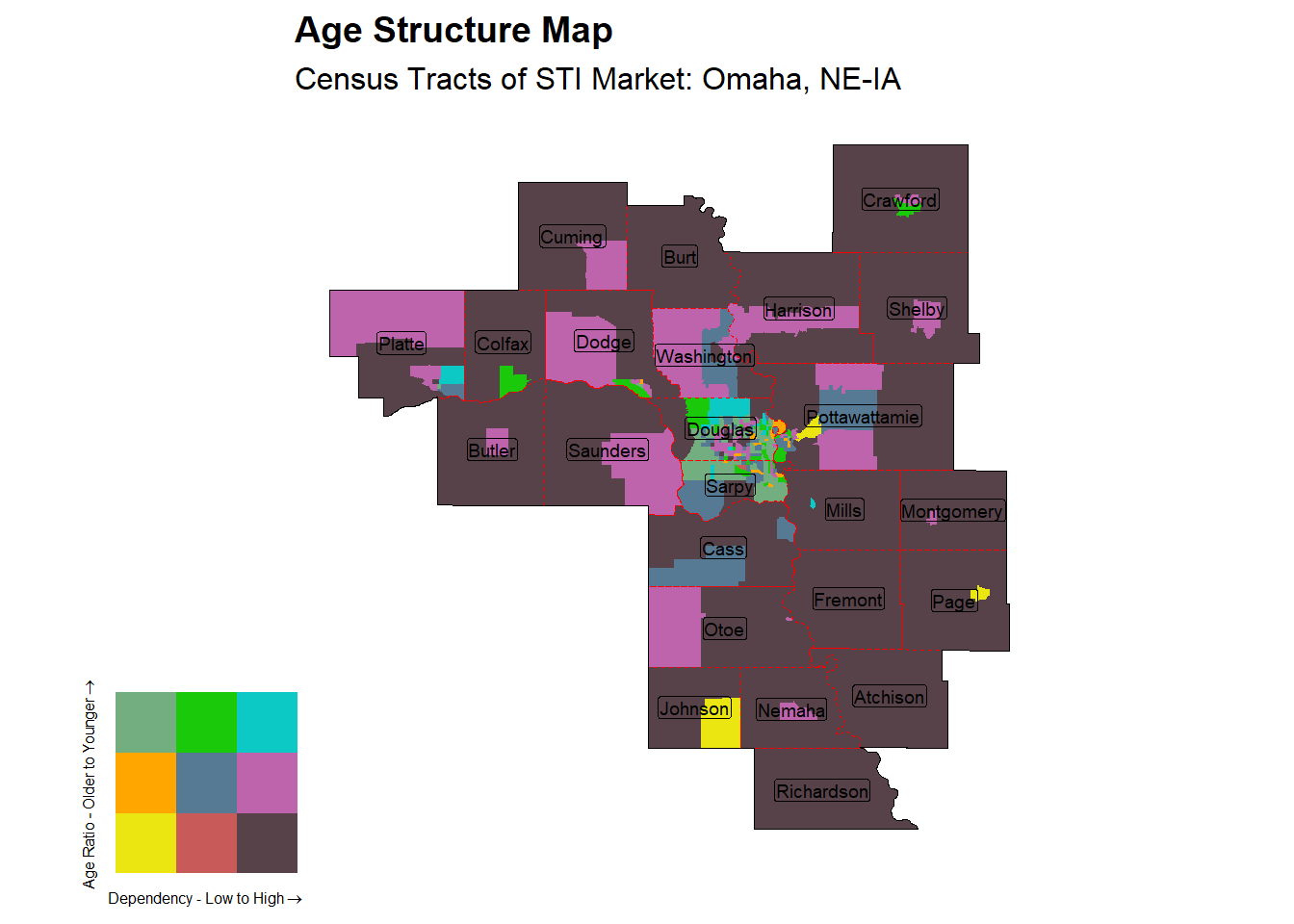Age Structure Class by Census Tract
