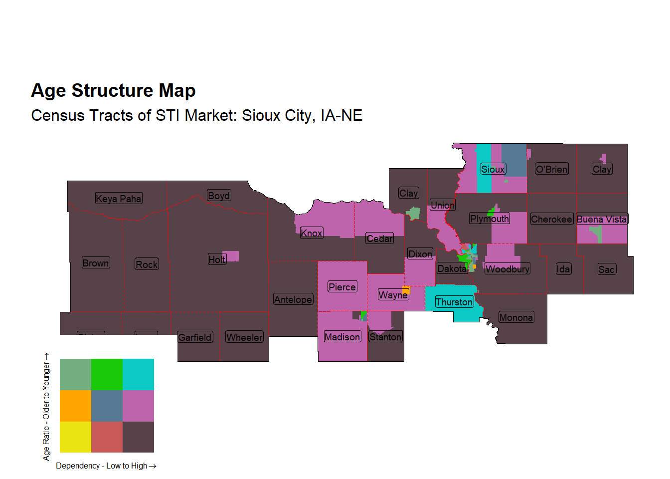 Age Structure Class by Census Tract