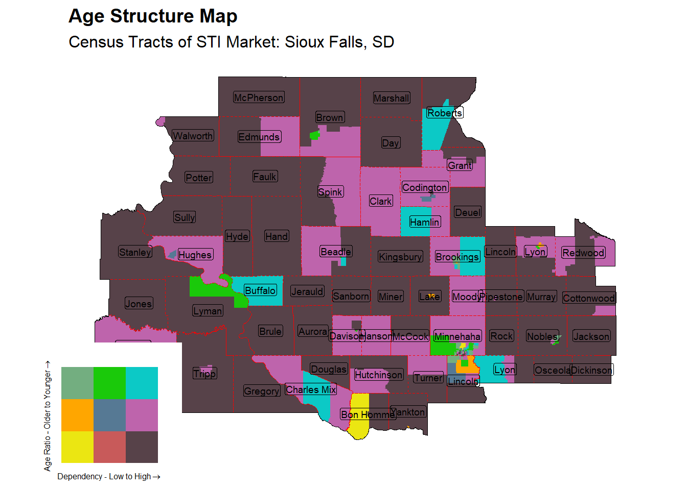 Age Structure Class by Census Tract