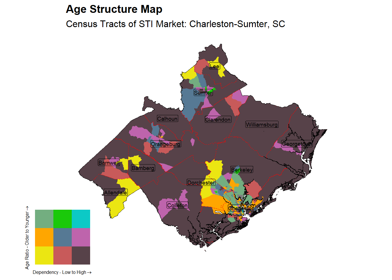 Age Structure Class by Census Tract