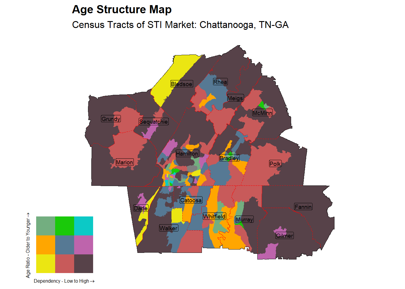 Age Structure Class by Census Tract