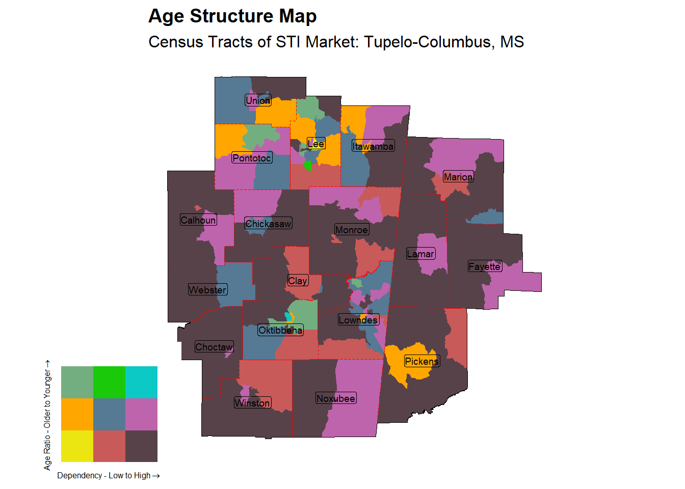 Age Structure Class by Census Tract