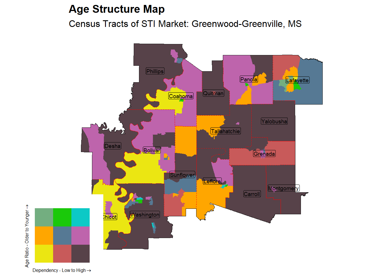 Age Structure Class by Census Tract