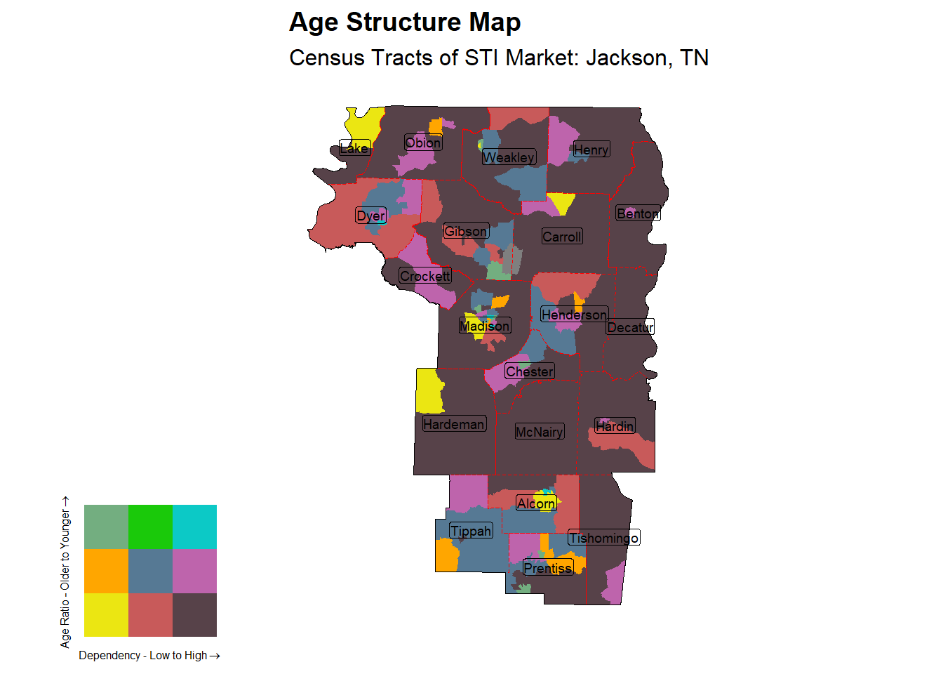 Age Structure Class by Census Tract