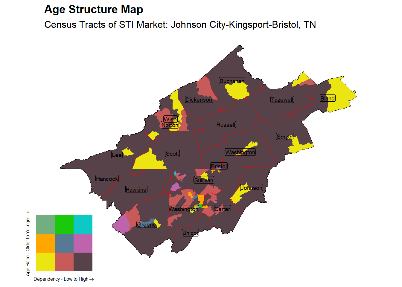 Age Structure Class by Census Tract