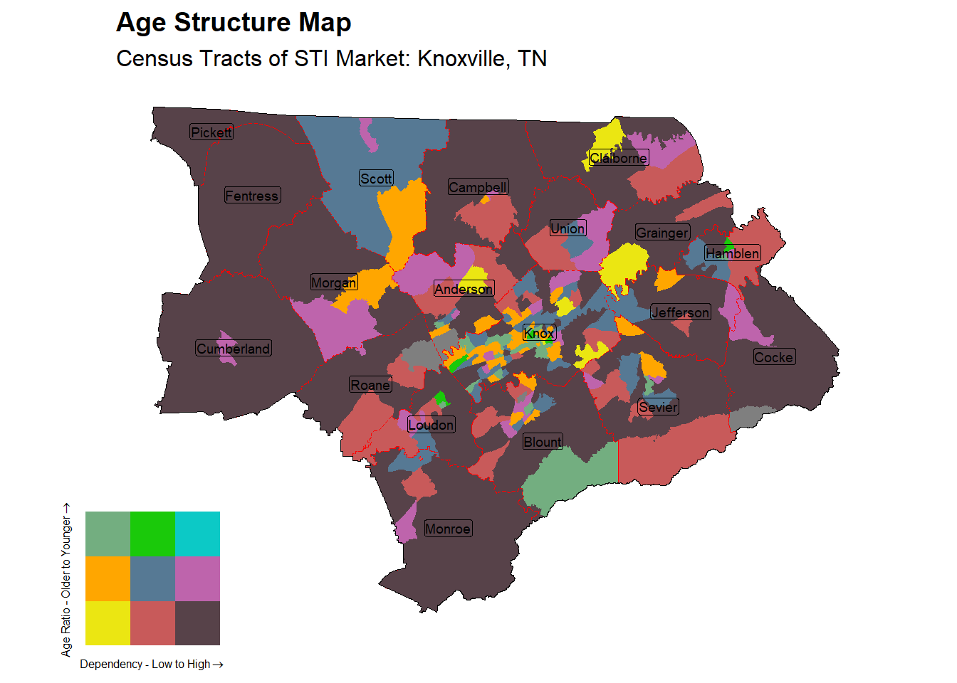 Age Structure Class by Census Tract