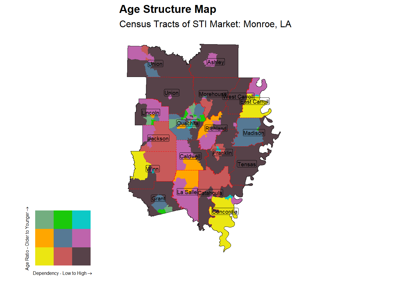 Age Structure Class by Census Tract