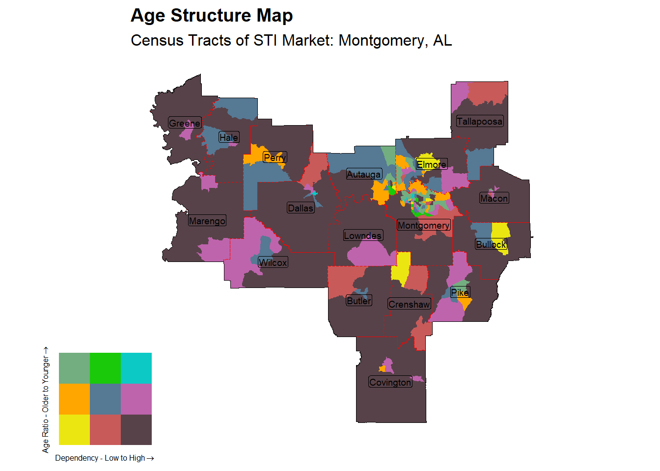 Age Structure Class by Census Tract