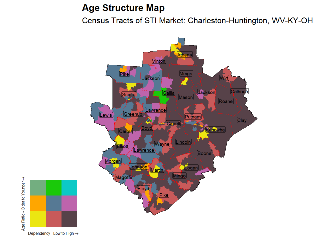 Age Structure Class by Census Tract
