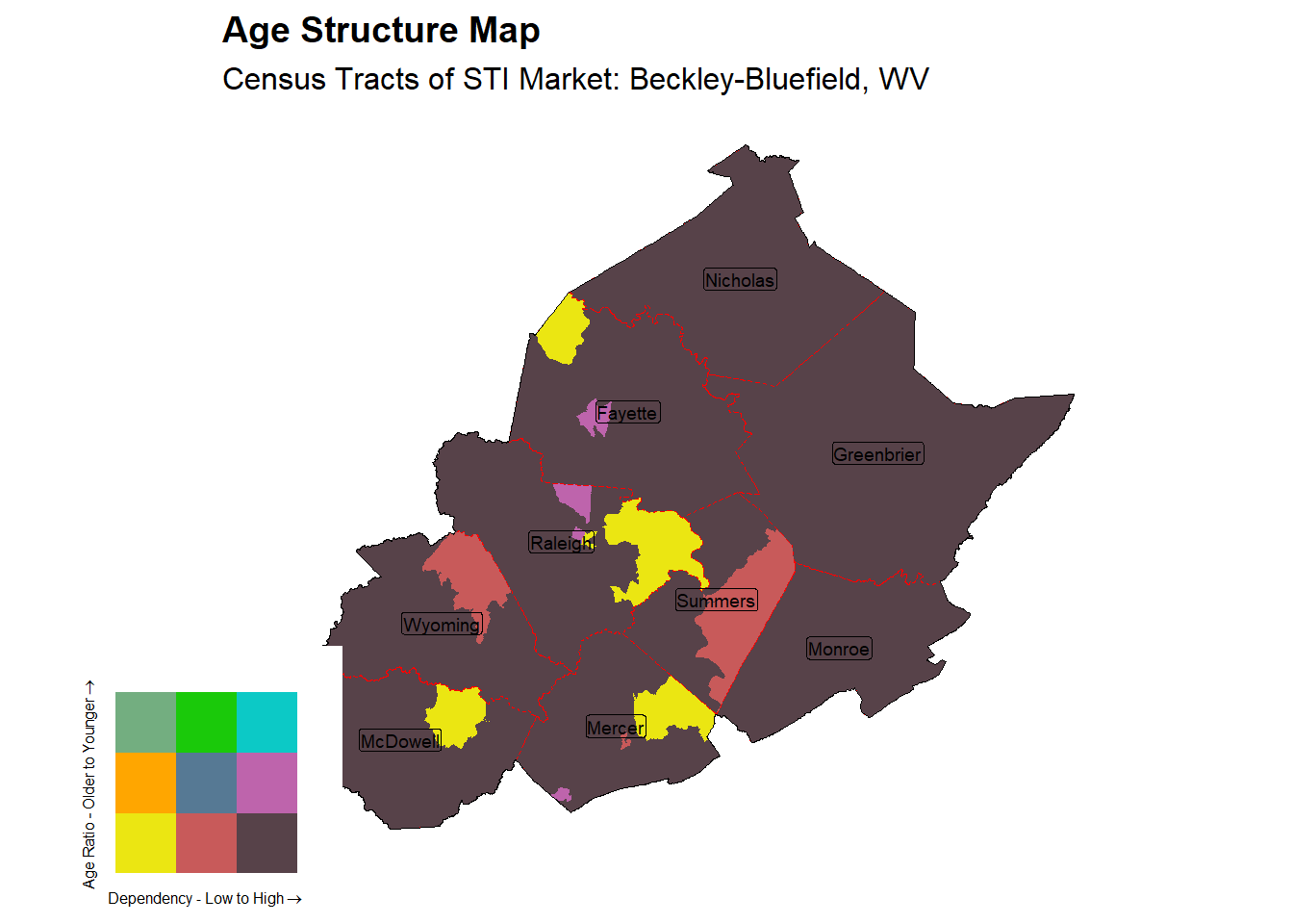 Age Structure Class by Census Tract