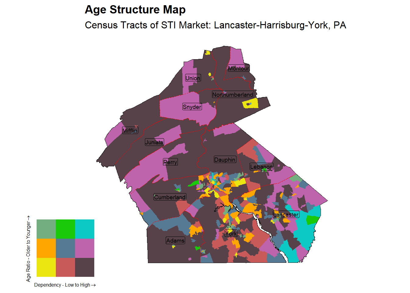 Age Structure Class by Census Tract