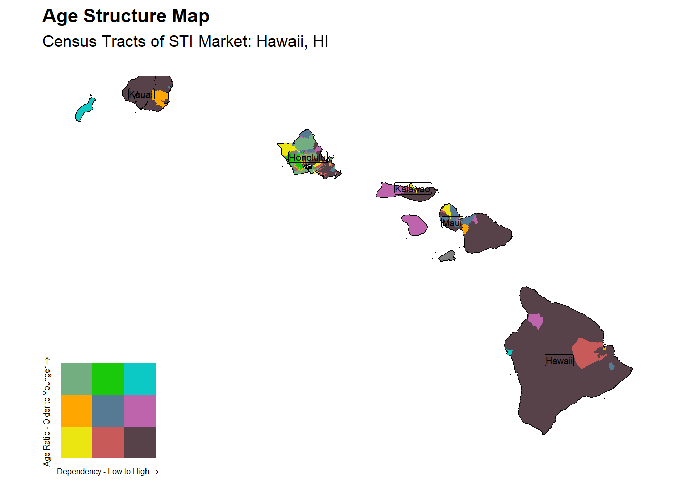 Age Structure Class by Census Tract