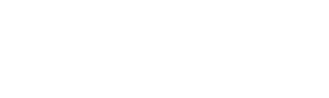 Member of International Council of Shopping Centers